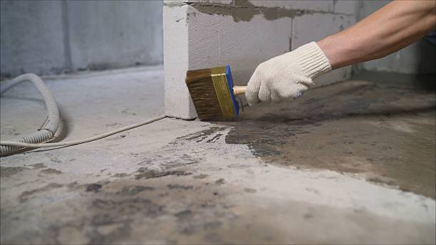 24/7 Emergency Basement Waterproofing experts in Newport, NC